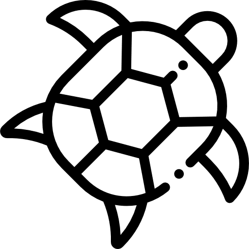 Turtle animals turtle sea life icon Turtle animals turtle sea life icon