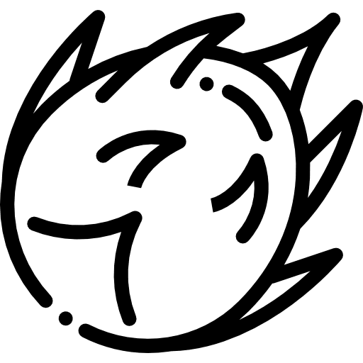 Dragon fruit food diet vegetarian icon Dragon fruit food diet vegetarian icon