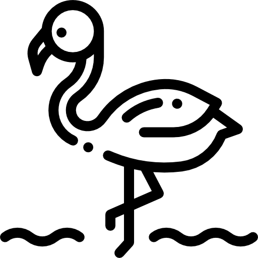 Flamingo bird flamingos animals icon Flamingo bird flamingos animals icon