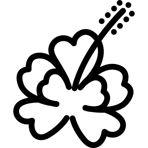 Hibiscus holidays flower nature icon Hibiscus holidays flower nature icon