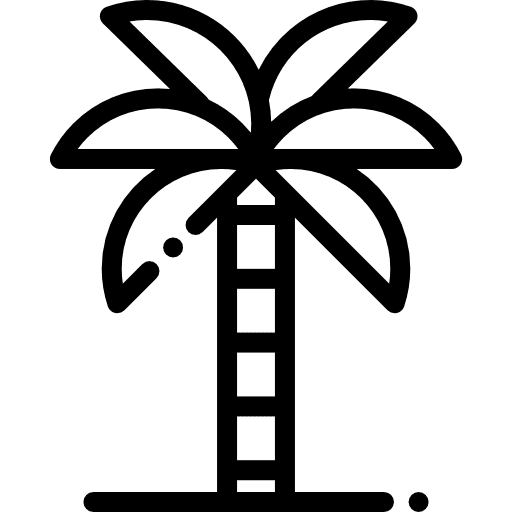 Palm tree palm tree sun landscape icon Palm tree palm tree sun landscape icon