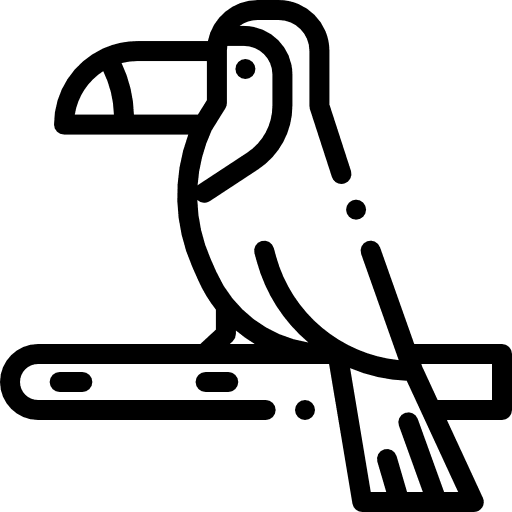 Toucan animals bird toucan icon Toucan animals bird toucan icon