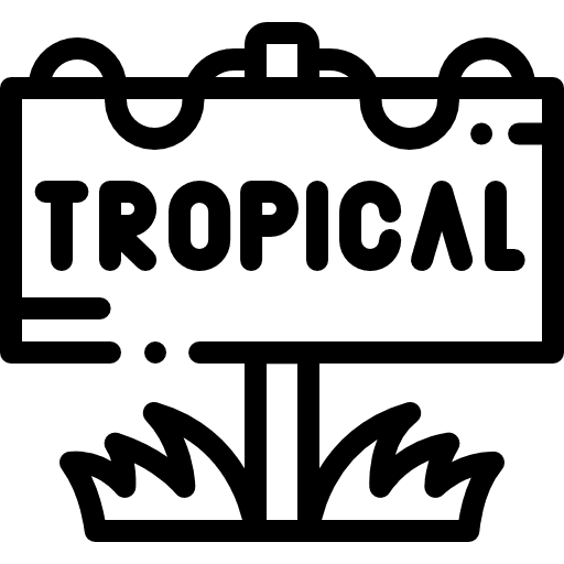 Tropical holidays tropical board icon Tropical holidays tropical board icon