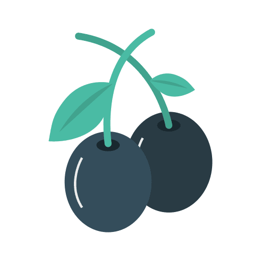 Blueberry diet organic blueberry icon