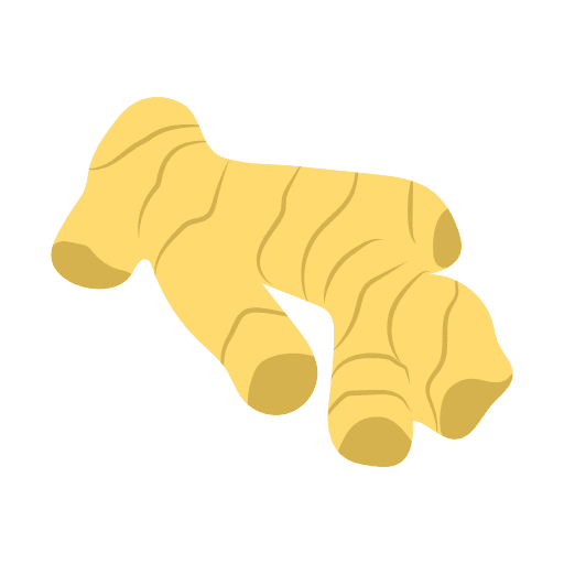 Ginger root properties food icon
