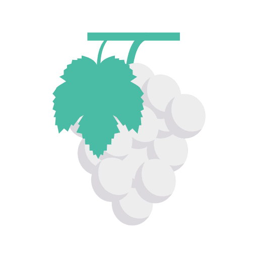 Grapes grapes diet organic icon