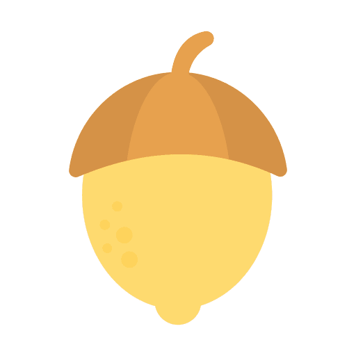 Hazelnut food hazelnut healthy food icon