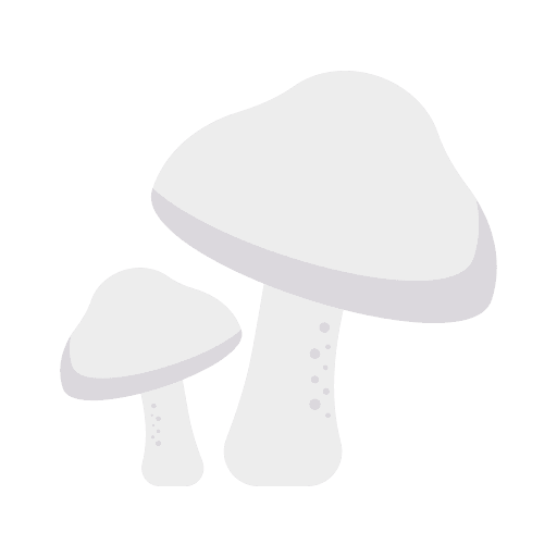 Mushrooms fungi food muscaria icon