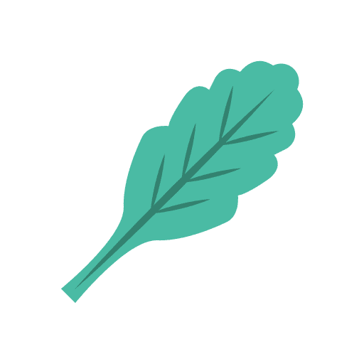 Oak leaf food and restaurant plant botanical icon