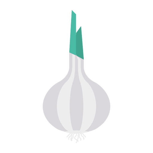 Onion vegetable vegan vegetarian icon