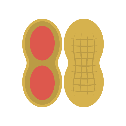 Peanuts vegetarian food salty icon