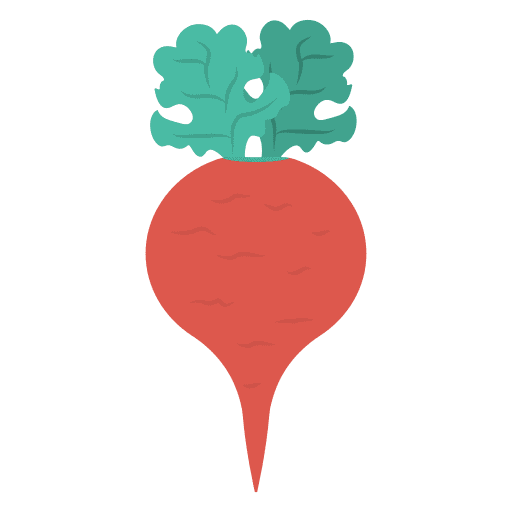 Turnip food vegan vegetable icon