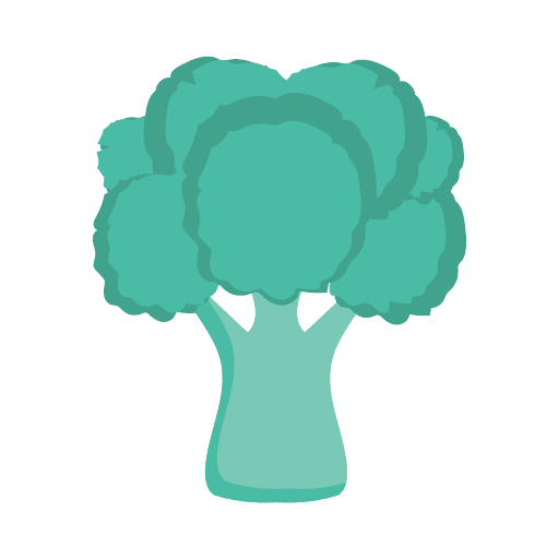 Broccoli foods vegetable vegetables icon