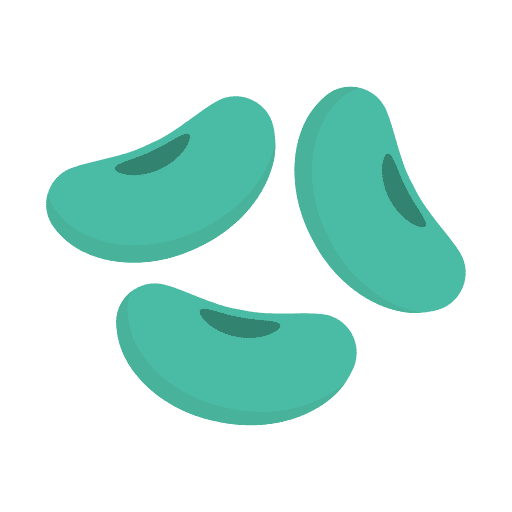 Beans healthy food vegan vegetarian icon