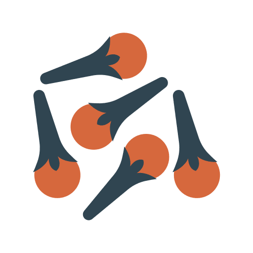 Clove fruit vegetarian food and restaurant icon