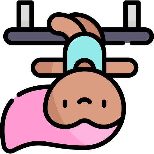 Trapeze artist entertainment artist show icon