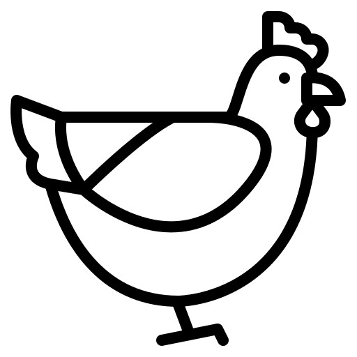 Chicken chicken farm zoo icon Chicken chicken farm zoo icon