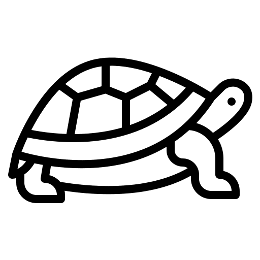 Turtle nature turtle animals icon