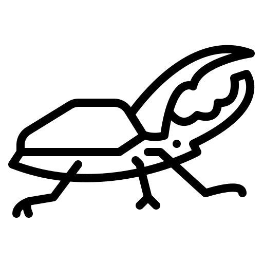 Beetle nature beetle zoo icon Beetle nature beetle zoo icon