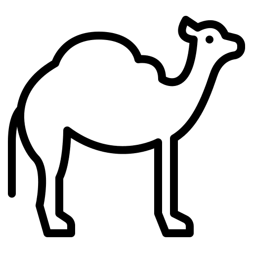 Camel nature zoo camel icon Camel nature zoo camel icon