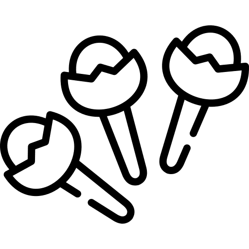 Clove fruit clove vegetable icon