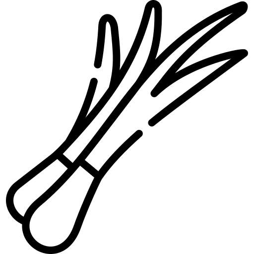 Green onion green onion diet green icon