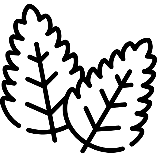 Mint vegetarian nature plant icon