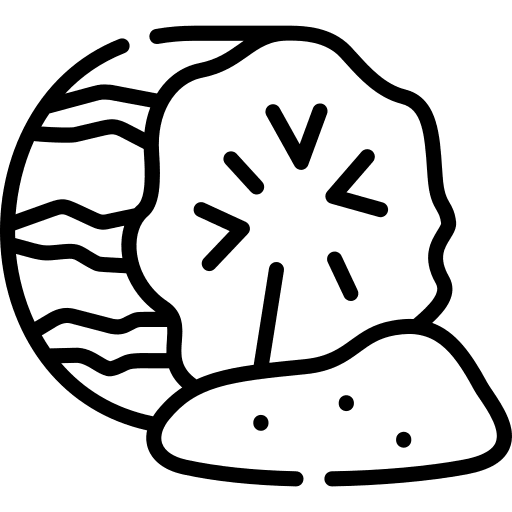 Nutmeg food and restaurant nature plant icon