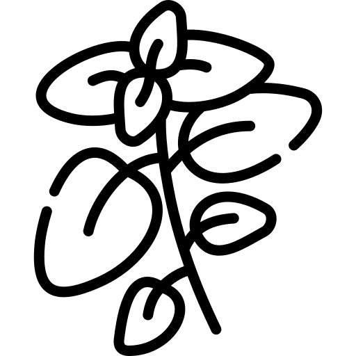 Oregano healthy food nature food icon