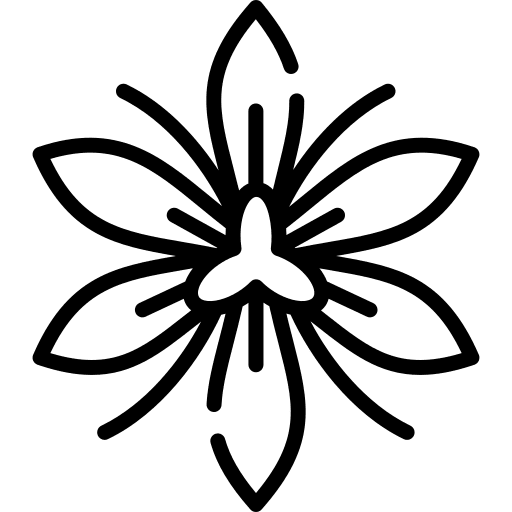 Saffron spices herb flower icon