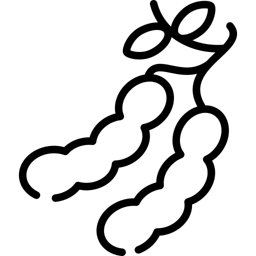 Tamarind diet food vegetarian icon