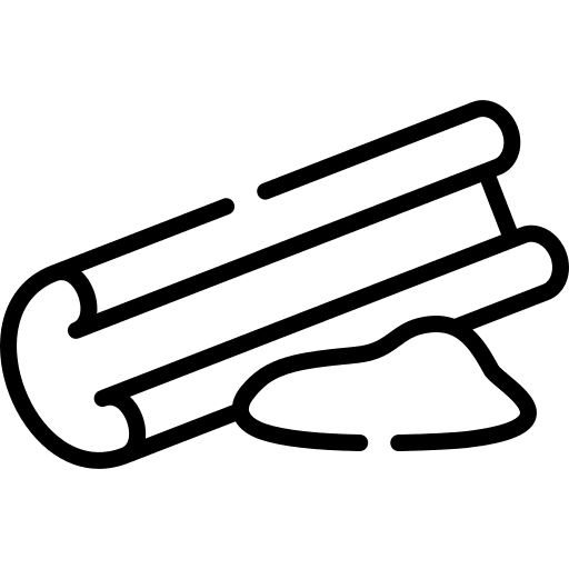 Cinnamon plant cinnamon spice icon Cinnamon plant cinnamon spice icon