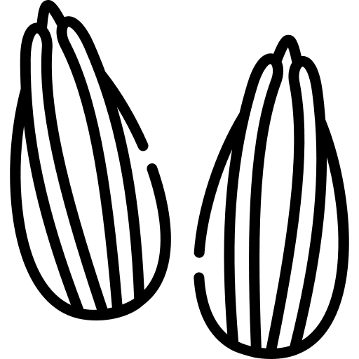 Cumin food and restaurant condiment spicy icon Cumin food and restaurant condiment spicy icon