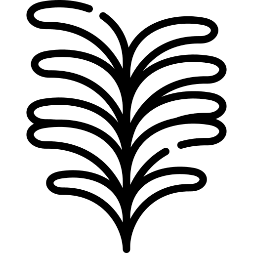 Rosemary nature aroma food and restaurant icon Rosemary nature aroma food and restaurant icon