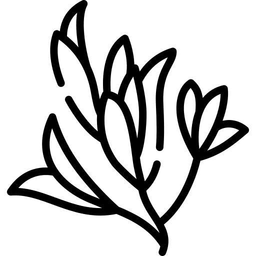 Savory food and restaurant savory food icon Savory food and restaurant savory food icon