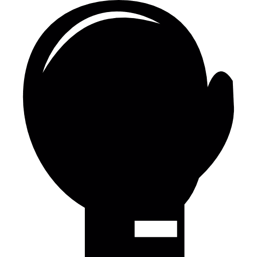 Boxing glove sports boxing glove icon