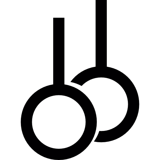 Gymnastic rings rings gym olympic icon