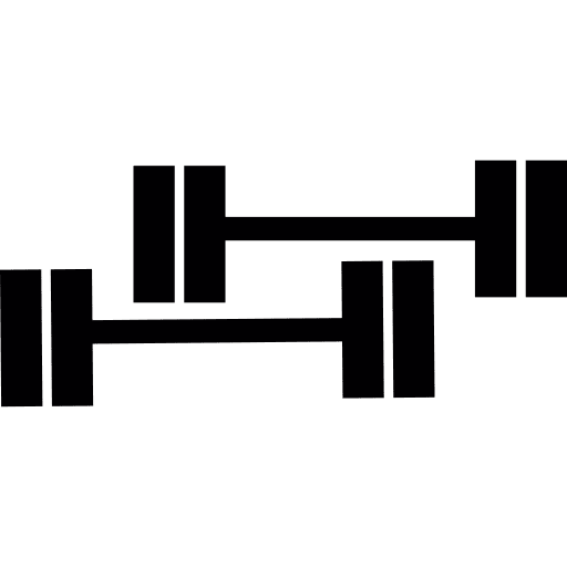 Two dumbbells weight dumbbells heavy icon