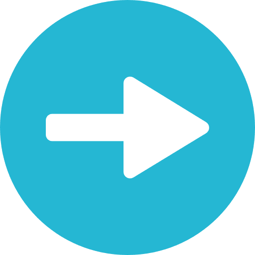 Next right arrow next vignette icon