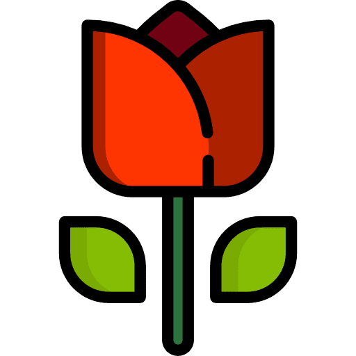 Rose rose botanical nature icon Rose rose botanical nature icon