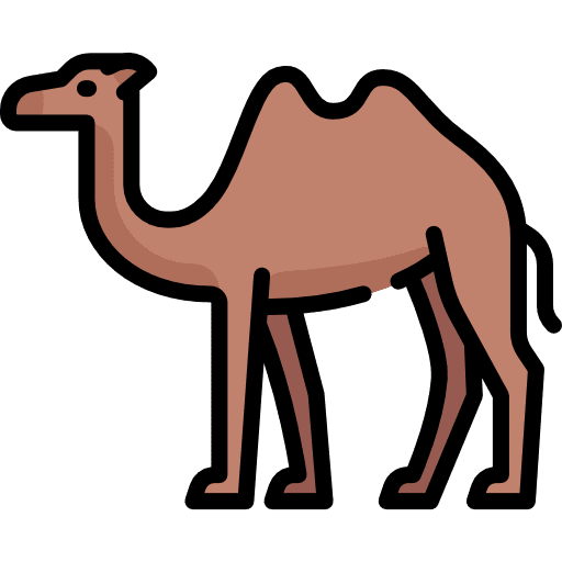 Camel animals wild life zoo icon