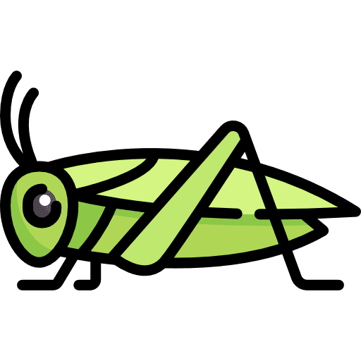 Cricket bug insect cricket icon