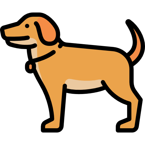 Dog dog animals animal kingdom icon