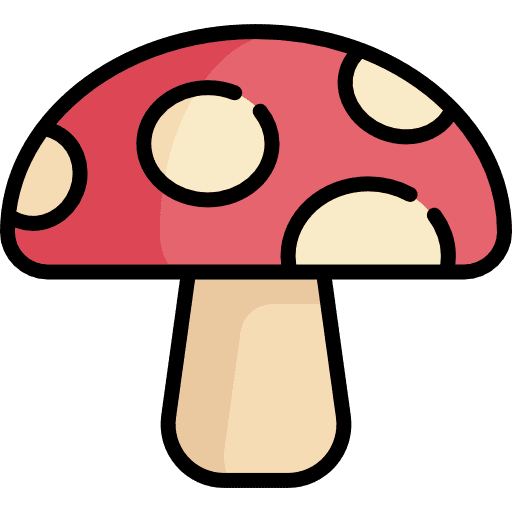 Mushroom nature muscaria fungi icon
