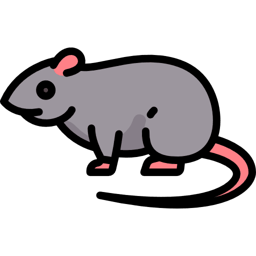 Rat rat animal kingdom pet icon