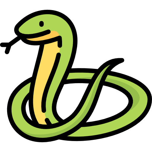 Snake zoo animals reptile icon