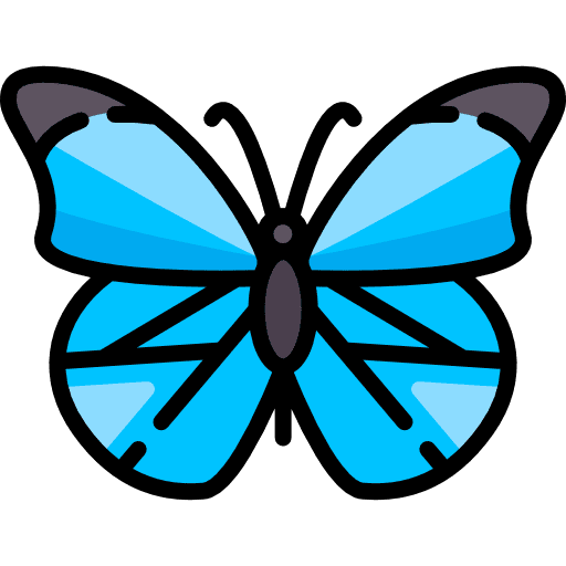Butterfly animals insect butterfly icon