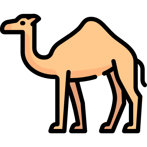 Camel animal wild life animal kingdom icon