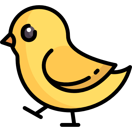 Chicken animals bird chicken icon