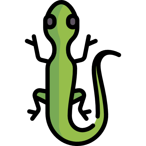 Lizard animal wild reptile icon